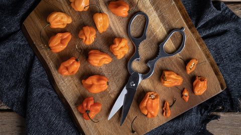 The ABC’s of Kitchen Shears