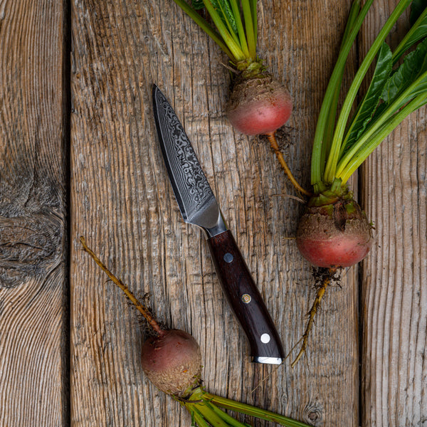 The Best 3.5 VG-10 Damascus Kitchen Paring Knife for Peeling
