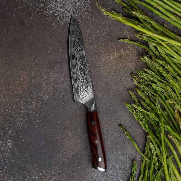 Damascus steel retailer knife (B5)